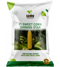 Sweet Corn F1 Shining Star 20 grams